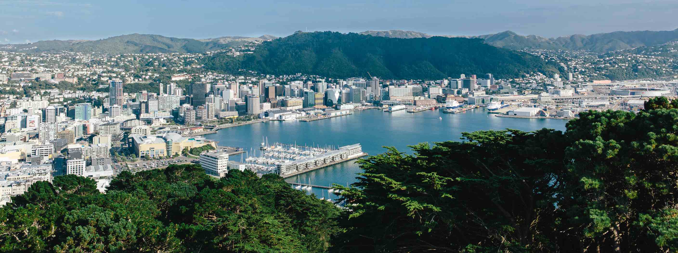 Wellington gift boxes from the capital