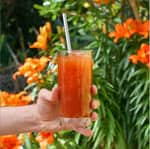 New Zealand Bloody Mary Recipe