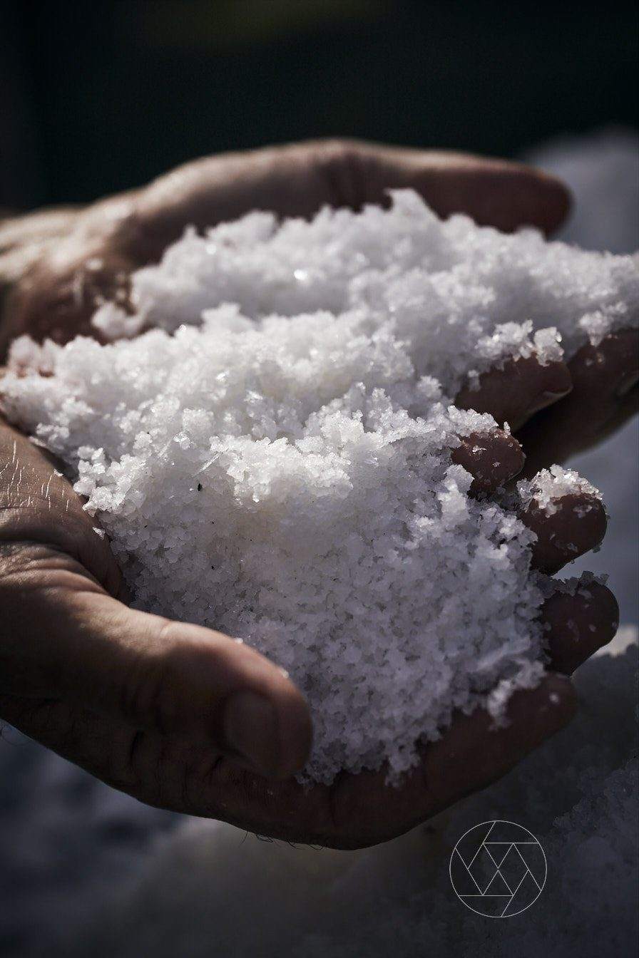 Two cupped hands holding freshly harvested natural sea salt crystals from The Taipa Salt Pig