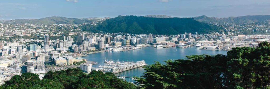 Wellington gift boxes: From the capital to you