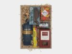 Wild About Wellington Gift Box Medium Gin