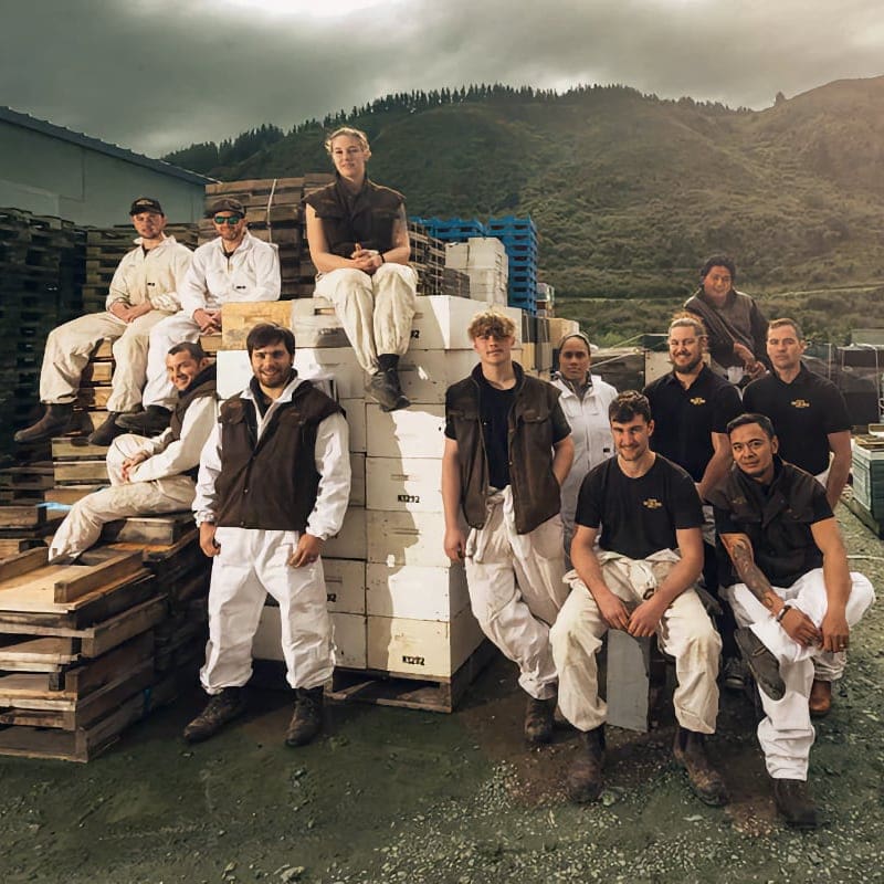 Taylor Pass Honey Bee Keepers Team